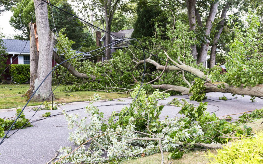 What should you look for in an attorney after the storm?