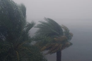 Hurricane Preparedness for Businesses