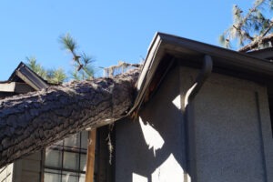 What to Do if My Roof Was Damaged or Torn Off During a Hurricane?
